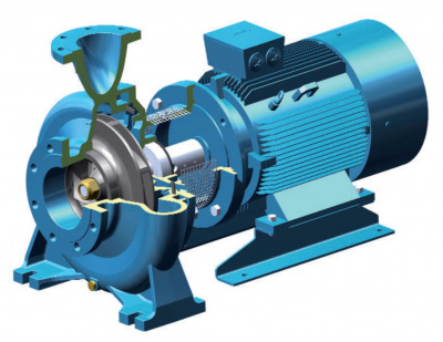 Calpeda B-NMS 100/250A/A