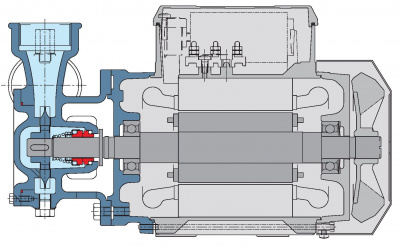 Calpeda B-T 61E